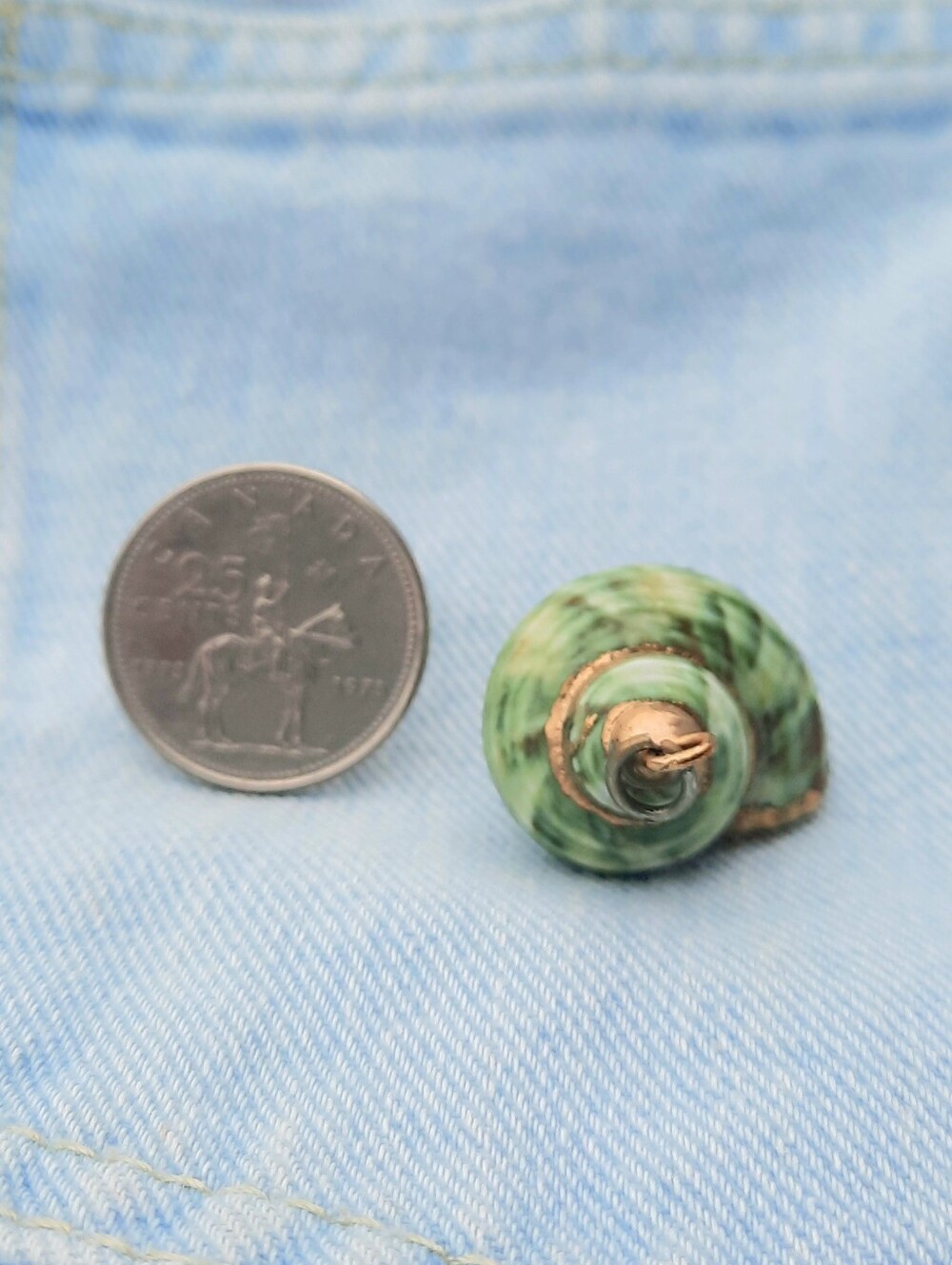 Vintage SEA SHELL Pendant, Gold Rim Painted, Dyed Green
